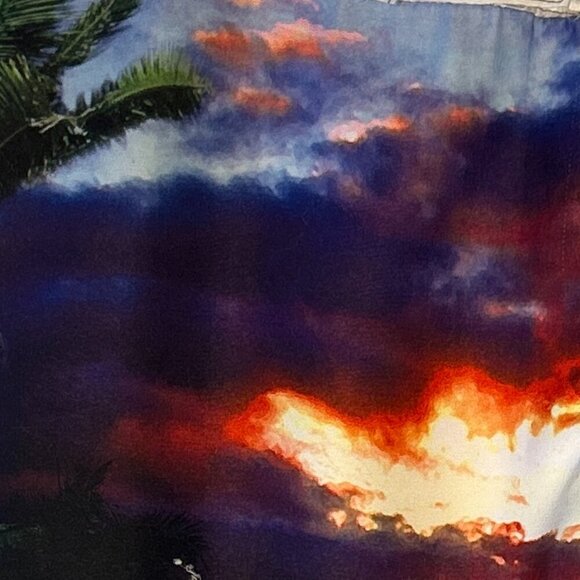 OP Men's Vintage SZ36 Tropical Print Swimsuit Board Short Beach Pool Swim Resort - Picture 9 of 10